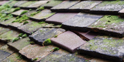 Little Barford roof repair costs